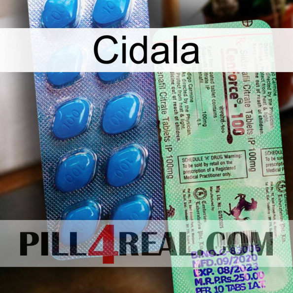 Cidala new02.jpg